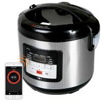 Мультиварка Redmond SkyCooker RMC-M224S