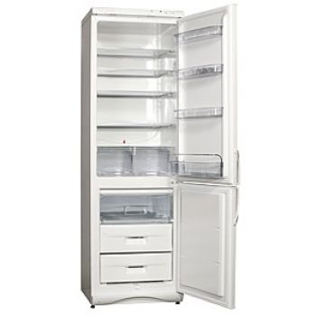 Холодильник с морозильной камерой Snaige RF360-1801AA