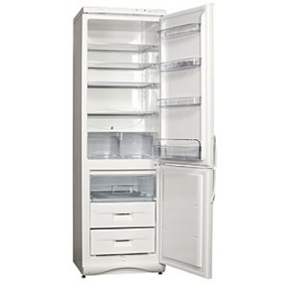 Холодильник с морозильной камерой Snaige RF360-1801AA