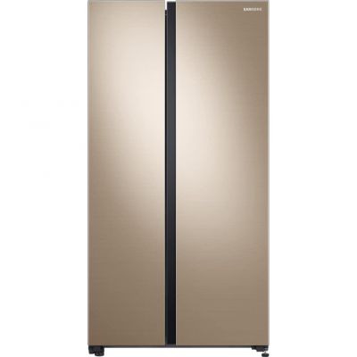 Холодильник с морозильной камерой Samsung RS61R5001F8