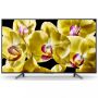 Телевизор Sony KD49XG8096