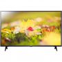 Телевизор LG 43LM6300