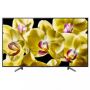 Телевизор Sony KD-43XG8096