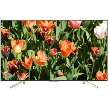 Телевизор Sony KD-49XF8596