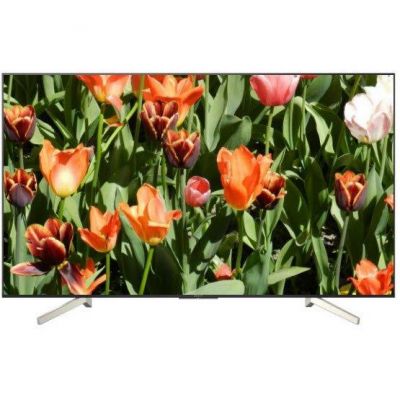 Телевизор Sony KD-49XF8596
