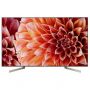 Телевизор Sony KD-65XF9005